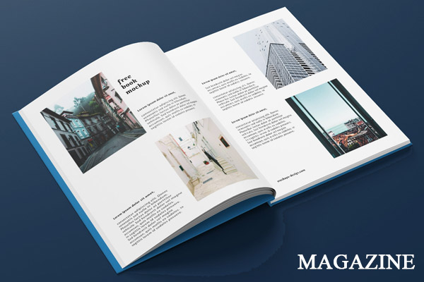 Magazine